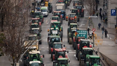 Avrupa'da çiftçi hareketleri: İspanya'da kırsal kesim "bıkmış durumda"