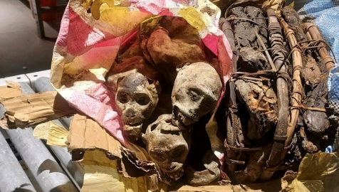 Havalimanından enteresan imajlar: Yolcu bavulunda maymun ceseti bulundu