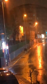 Küçükçekmece’de köpeği yere fırlatan şahıs yakalandı