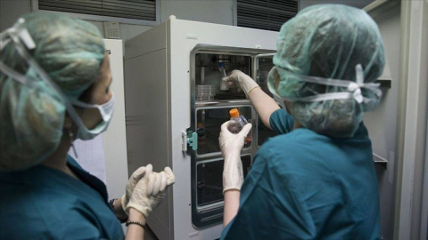 Dondurulmuş embriyoları 'çocuk' saydılar