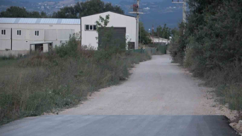 (Özel) Bir köpek dehşeti de Bursa’dan...