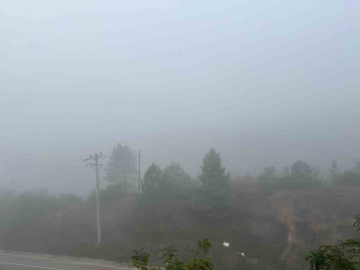 Kocaeli’de sis etkili oluyor