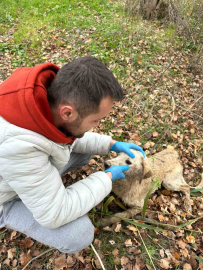 Nehre düşen köpek tekne yardımı ile kurtarıldı