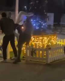 Yılbaşı ağacına baltalı saldırı kamerada