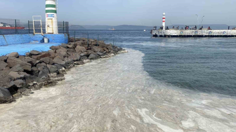 Çanakkale Boğazı’nda müsilaj etkisini gösteriyor