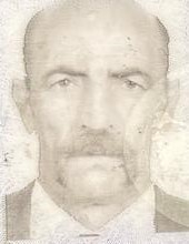 Ağaca asılı halde ölü bulundu