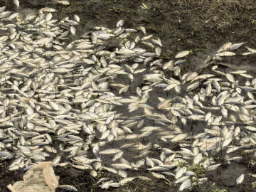 Bursa’da çevre felaketi...