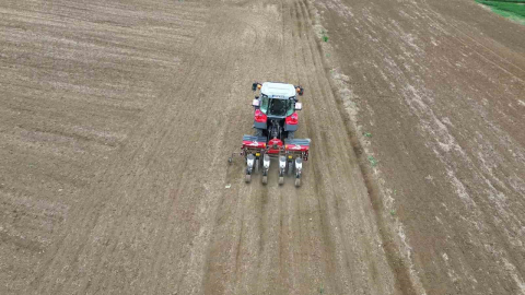 Türkiye’nin ayçiçeği ambarında ekim vakti