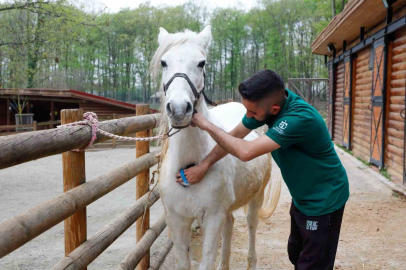Bayramda doğanın kalbi Ormanya’da atacak