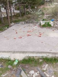 Sokaklara hayvanlar için atılan kokan ürünler vatandaşları çileden çıkarıyor