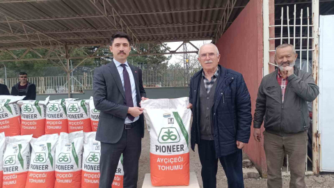 Çiftçiye yüzde 50 hibeli ayçiçeği tohumu