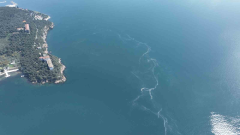 İstanbul’da müsilaj yeniden ortaya çıktı