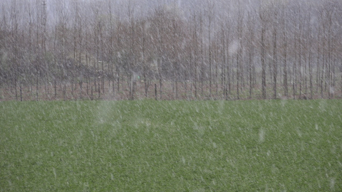 Kırklareli’nin yüksek kesimlerinde kar yağışı etkili oluyor