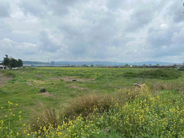 Mahkemelik olan tesisi vatandaş istemiyor