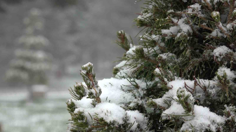 Nisanda kar yağdı, Uludağ’da yer kalmadı