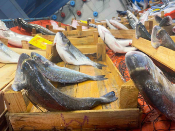 Uzmanlardan, balıktaki parazitle ilgili hijyen uyarısı