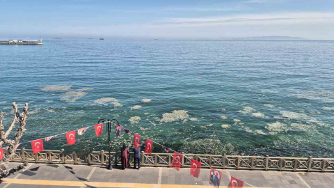 Tekirdağ kıyılarında müsilaj benzeri beyaz tabaka tedirgin etti