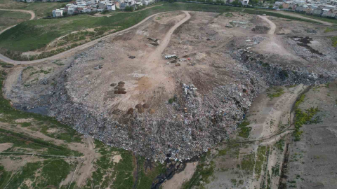 Osmangazi’de hayvan katliamı kenti ayağa kaldırdı