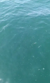 Depreme denizde yakalandılar: "Marmara açıklarında bir gürültü koptu, tekne sallandı"