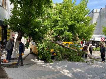 Çanakkale’de fırtınada kırılan ağaç dalı araçların üzerine devrildi