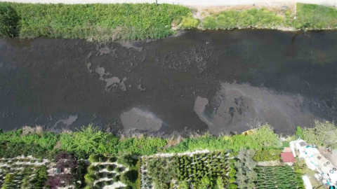 Yalova’da Dereağzı mevkisinde kanalizasyon suyu denize aktı