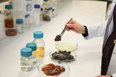 Bu ambalaj ürünlerin raf ömrünü uzatacak