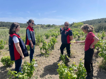 Bozcaada’da organik tarım dentimleri yapıldı