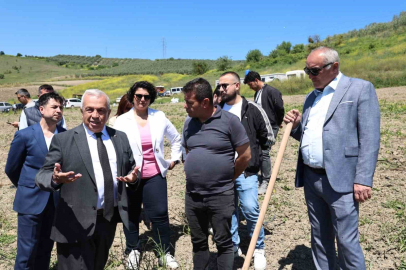 Konaklı’da 800 zeytin fidanı toprakla buluştu