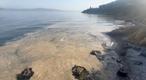 Gemlik’te müsilaj paniği