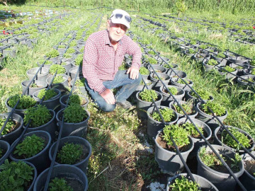 Balıkesir Burhaniye’yi Fide Üretim Merkezi haline getirdi