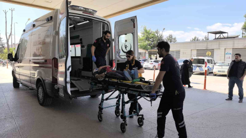 Üzüm yaprağı toplarken çatıdan düştü