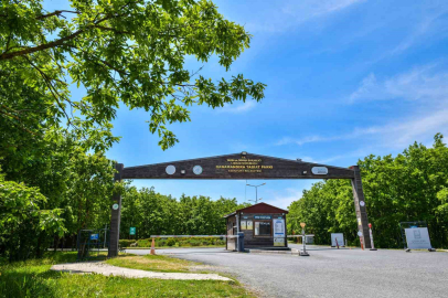Danamandıra Tabiat Parkı yaza hazır