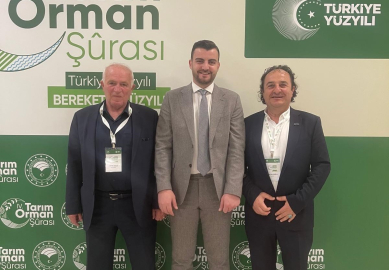 Ahşap palet sektöründen 18. madde çağrısı: "Palet havuzu modeli için hazırız"