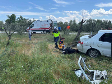 Otomobil zeytinliğe uçtu