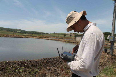 Manyas’ta çeltik ekimleri sürüyor