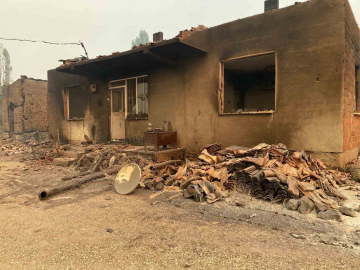 Bilecik’teki orman yangınında bir köy kül oldu