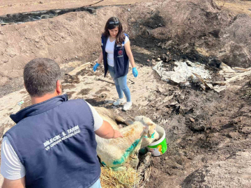 Bilecik’te acı bilanço ortaya çıktı