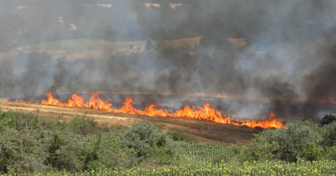 Kırklareli’nde yangın: 500 dekar tarım arazisi ve ağaçlık alan zarar gördü