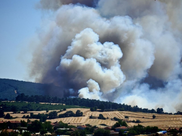 Edirne Keşan’da orman yangını