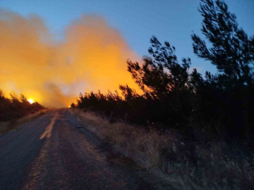Bayramiç’teki yangını söndürme çalışmaları aralıksız sürüyor
