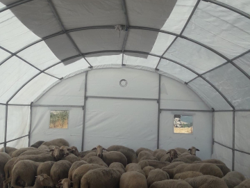 Sındırgı’da depremden etkilenen üreticilere geçici hayvan barınma çadırı desteği