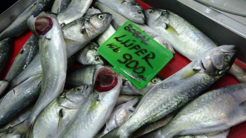 Denizlerin prensi ’lüfer’ 900 liradan tezgahta