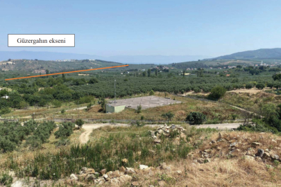 Mudanya’da çevre yolu tartışması: Binlerce zeytin ve incir ağacı tehlikede