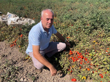 Londra’da kazandıklarıyla memleketine toprak yatırımı yaptı