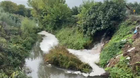 Gemlik Körfezi’nde kirlilik endişeye yolaçıyor