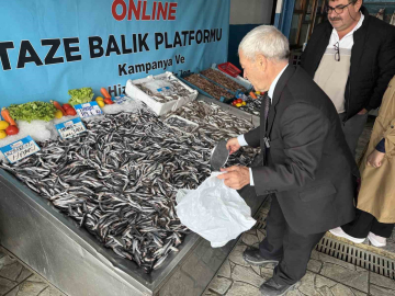 Denizlerde balık bolluğu: Hamsinin fiyatı 89 liraya düştü