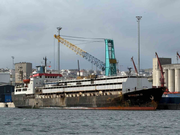 Bandırma Limanı’nda "Spiridon-II" krizi: İthal hayvanlar günlerdir limanda mahsur