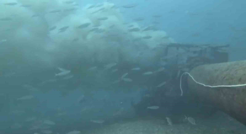 Çanakkale’de boğaza dökülen atık su ile karşılaşan dalgıç, o anları su altı kamerasıyla kaydetti