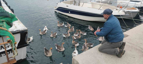 Şarköy’ün maskotu ’Vakvaklar’