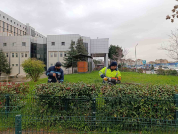 Hastane bahçelerinde budama ve bakım çalışması yapılıyor